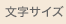 文字サイズ